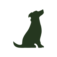 Working dog Working dog